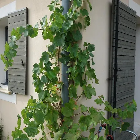 Etoileduventoux - Nyons Vaison La Romaine - 2pers 3* Piégon